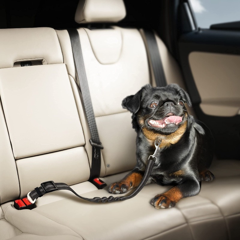 Arnés Retráctil para Perro en  - Snap Fastener Setter reseña y precio